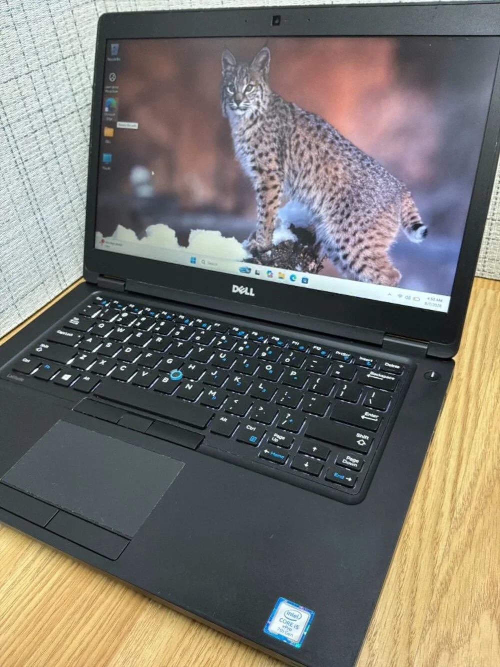 Dell Latitude 5480 14